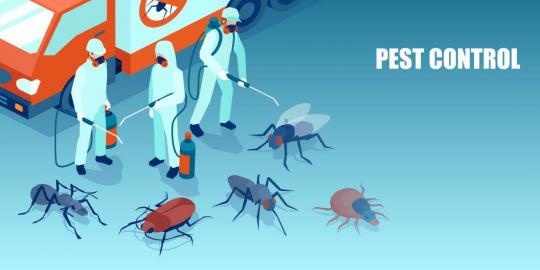 Pest Control Turnkey Solution