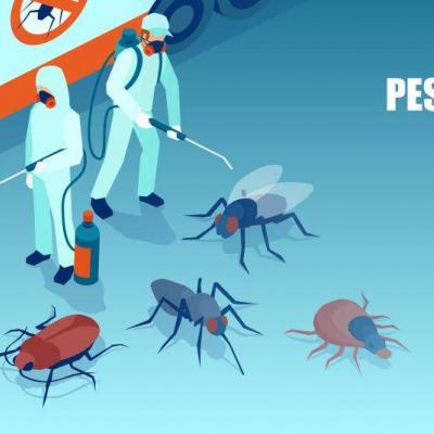 Pest Control Turnkey Solution